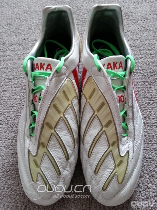 淘到一双无"翼"之鹰