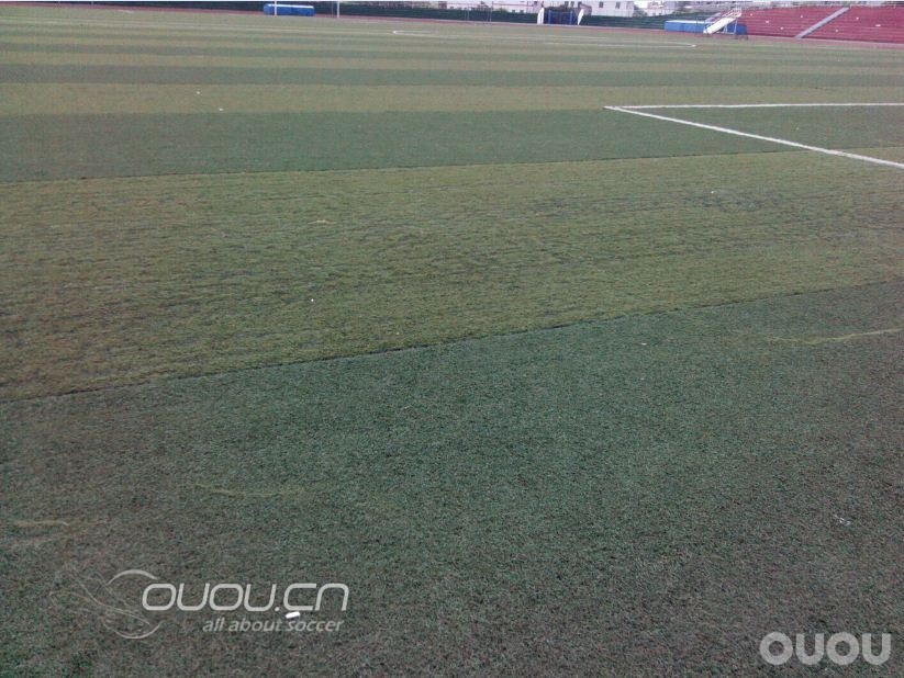 今天f50下地了,说说自己的感受(附菜地照)