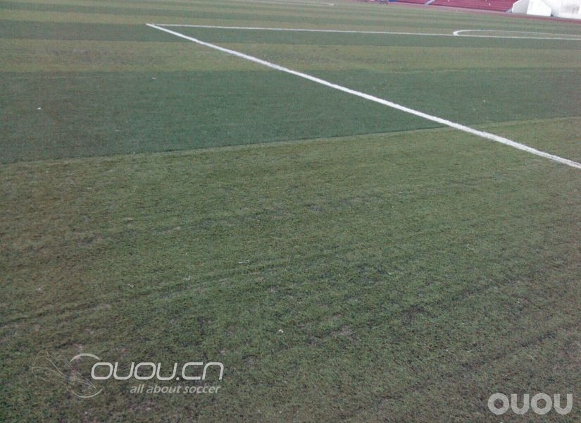 今天f50下地了,说说自己的感受(附菜地照)