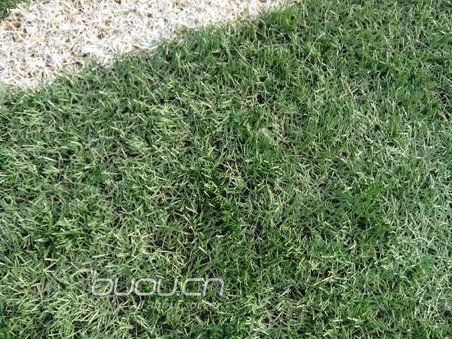 看看我们高中的场地,哈哈,就是忘带硬币了,明天去了用硬币试试,昨天踢球摔倒了,现在手腕很痛