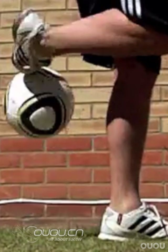 这双是阿迪什么系列的鞋呢?