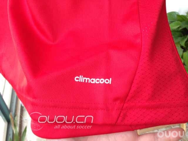 拜仁2013-14主场球迷版