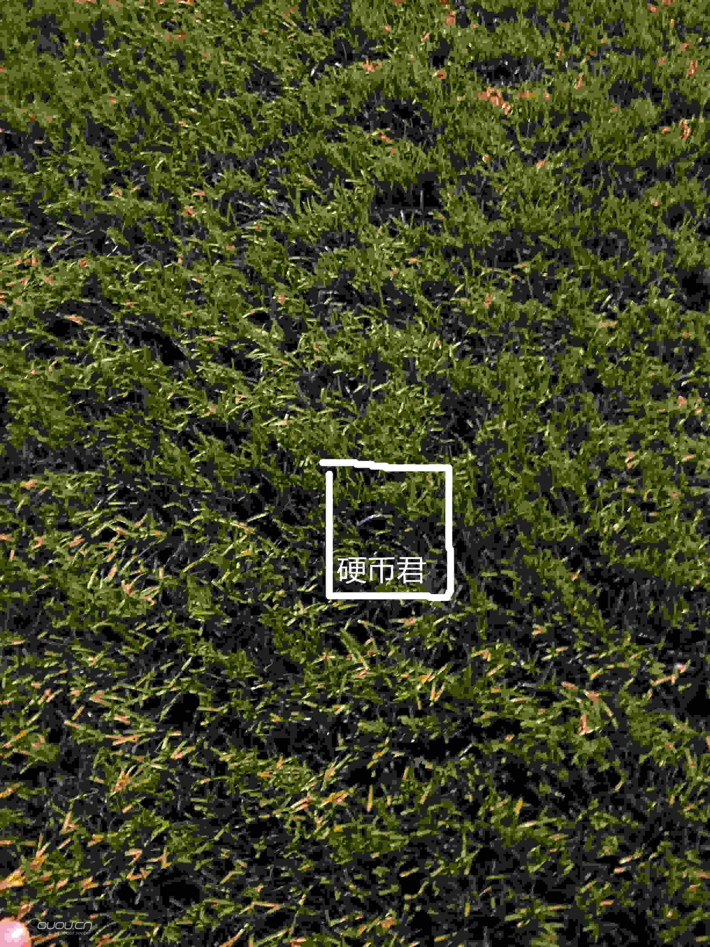 各位同好帮忙参谋一下这个球场能否上FG