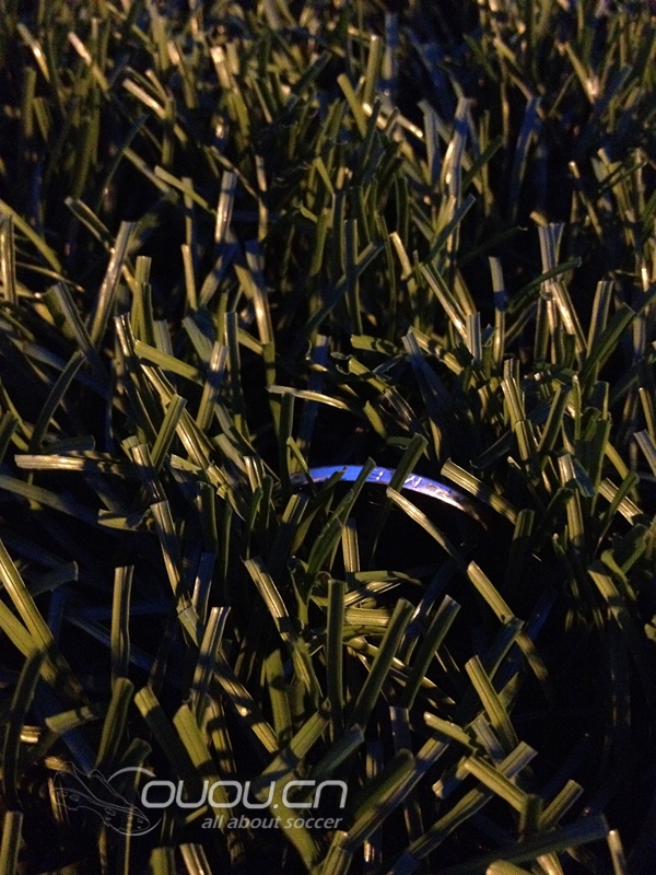 各位同好帮忙参谋一下这个球场能否上FG