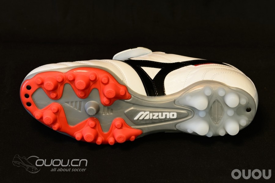 来自日本的人草之王——Morelia 2 Turf Master (2楼更新实战)