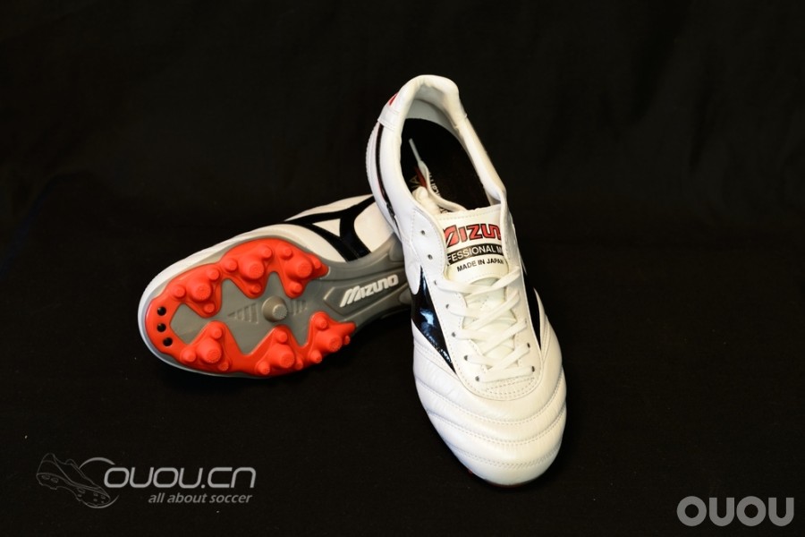 来自日本的人草之王——Morelia 2 Turf Master (2楼更新实战)