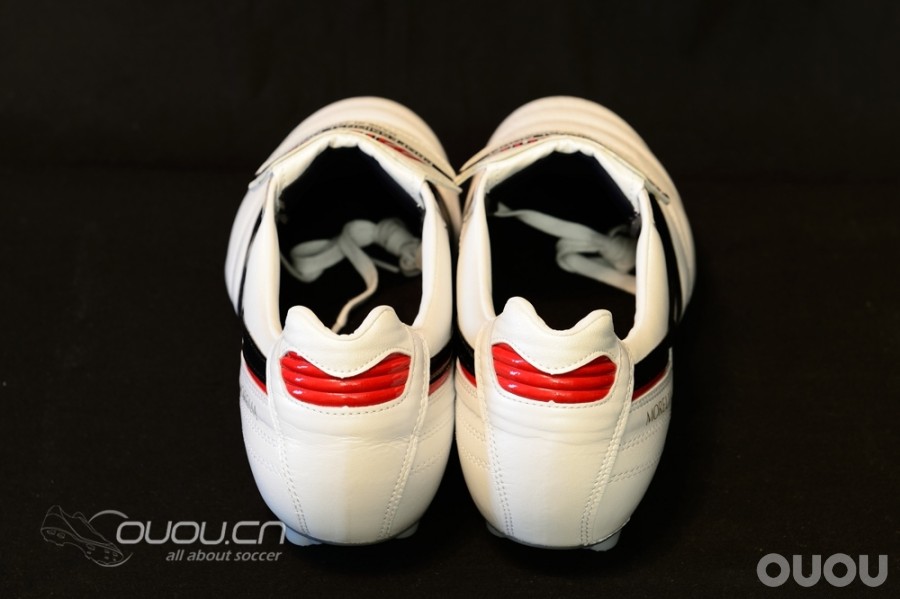 来自日本的人草之王——Morelia 2 Turf Master (2楼更新实战)