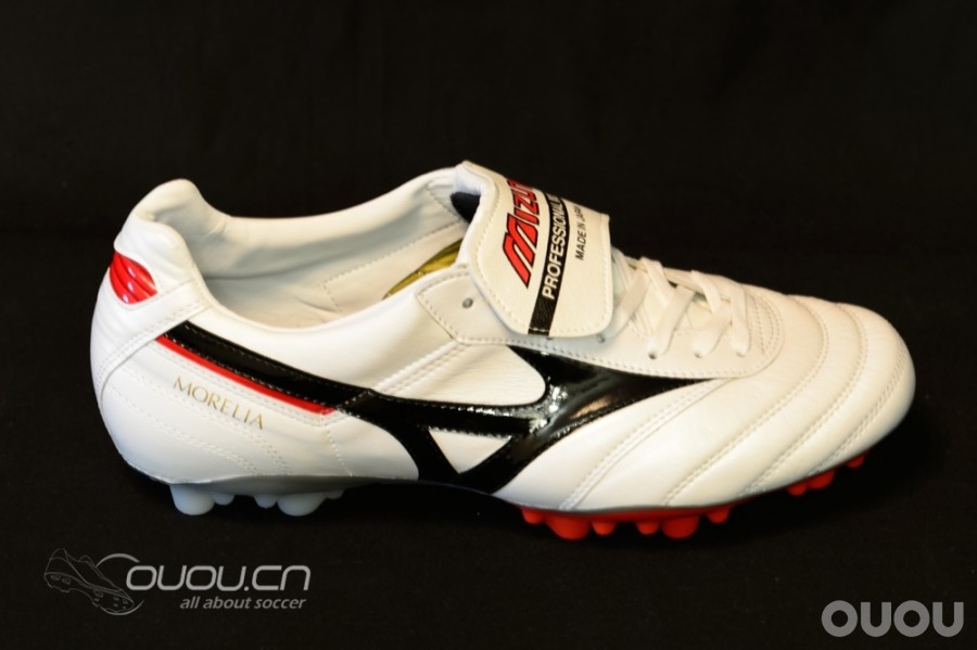 来自日本的人草之王——Morelia 2 Turf Master (2楼更新实战)