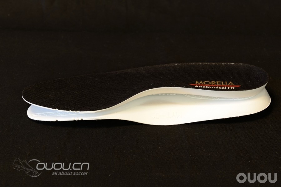 来自日本的人草之王——Morelia 2 Turf Master (2楼更新实战)