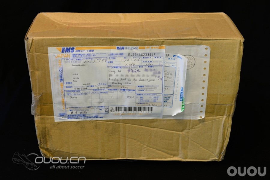 来自日本的人草之王——Morelia 2 Turf Master (2楼更新实战)