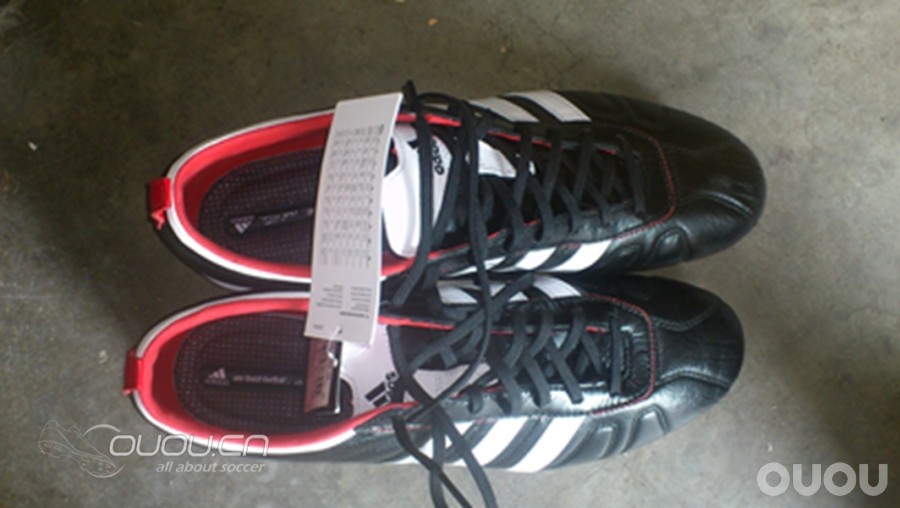 新入的顶级adipure4