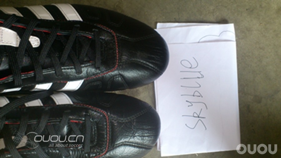 新入的顶级adipure4