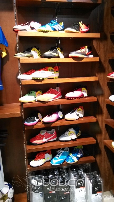 港澳游看鞋归来 38楼有楼主与邵佳一合影