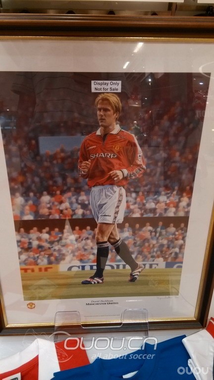 港澳游看鞋归来 38楼有楼主与邵佳一合影