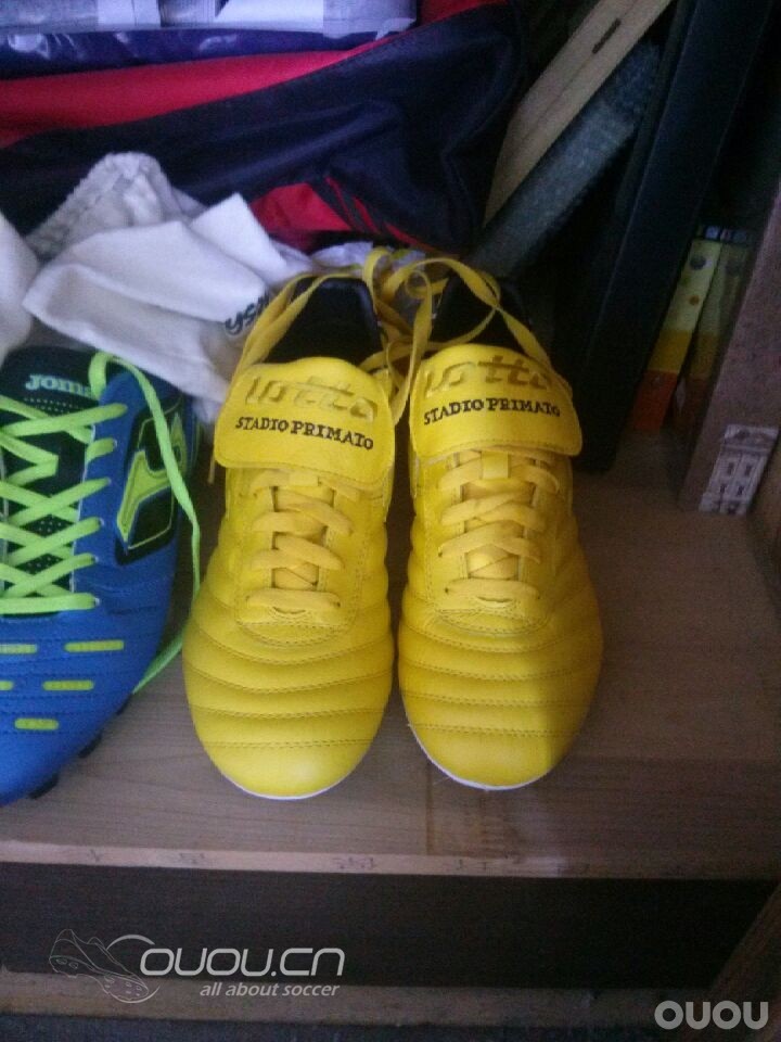 骚黄的白菜终于漂过太平洋到了手上