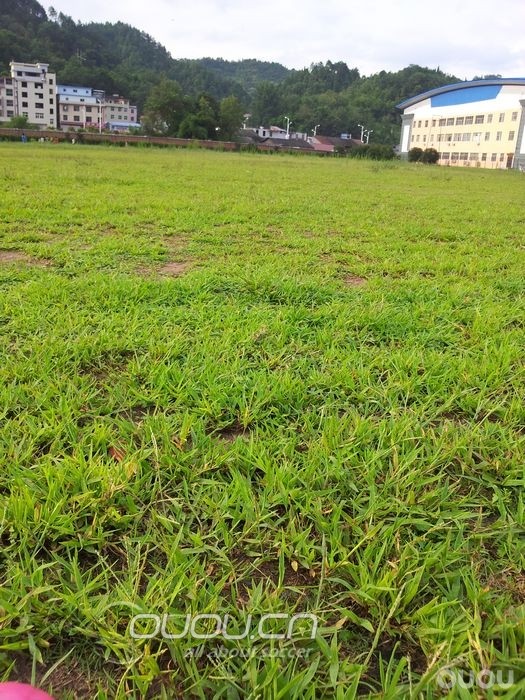 我来了,哈哈。不掉色,不掉色!!!