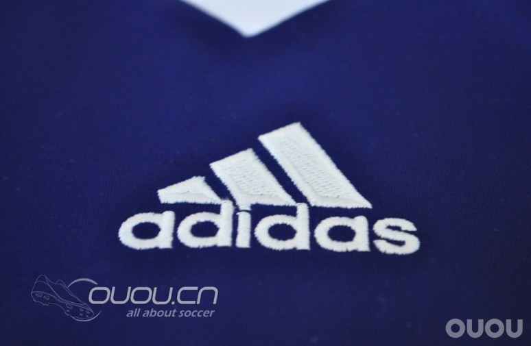 求鉴定法国队2010世界杯版主场球衣