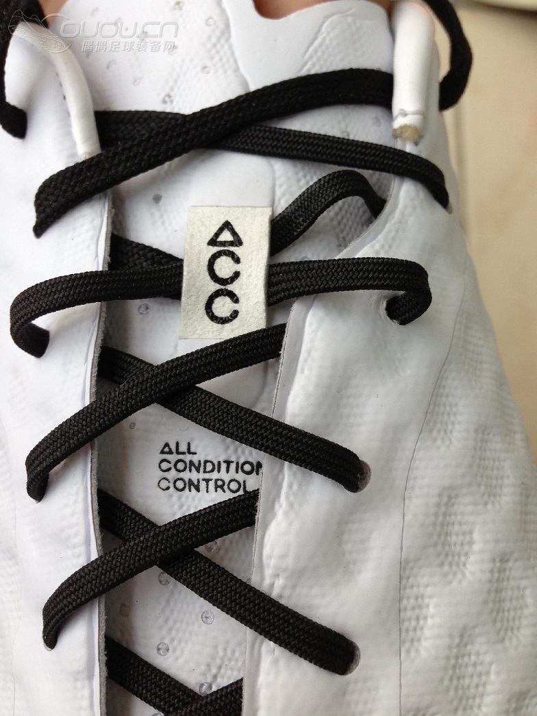 白蛇毒蜂,你还记得那条在雷峰塔下的白蛇吗?致命新物种——Hypervenom白黑