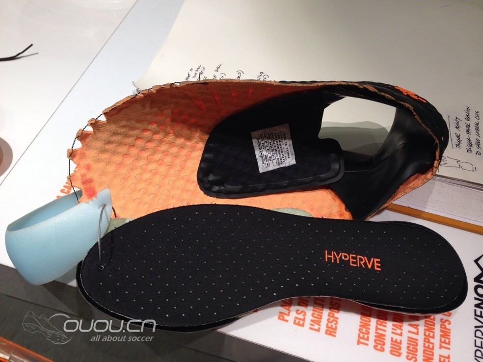 毒蜂分解图-Made in Taiwan