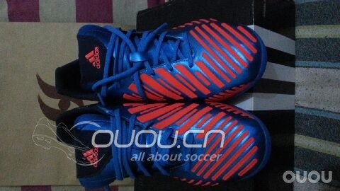 新入的猎鹰12首发配色