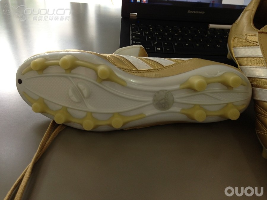 金色释迦到手,简单吐槽。