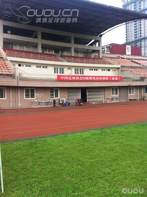 毒蜂FG顶级ACC测评