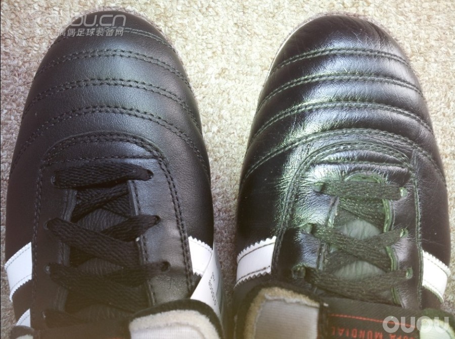 印尼产蓝标COPA 有些疑问麻烦大神看看