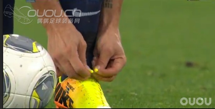 发现id毒蜂一双