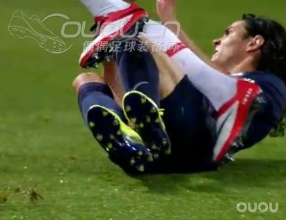 发现id毒蜂一双