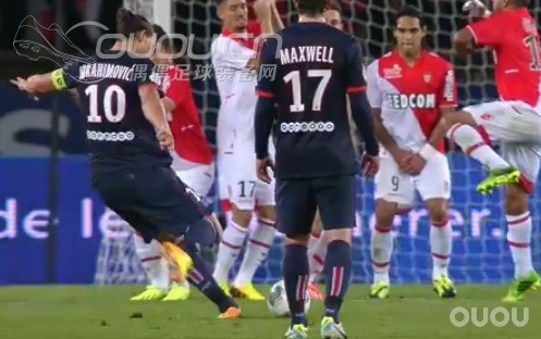 发现id毒蜂一双