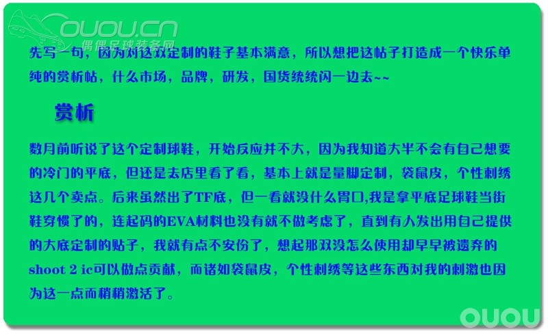 灵鹰飞上街头–平底版灵鹰定制