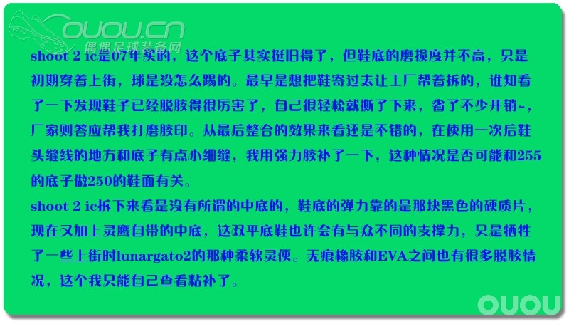 灵鹰飞上街头–平底版灵鹰定制