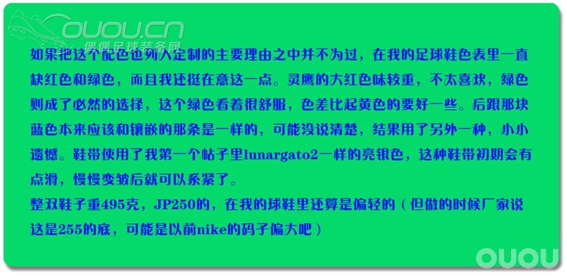 灵鹰飞上街头–平底版灵鹰定制