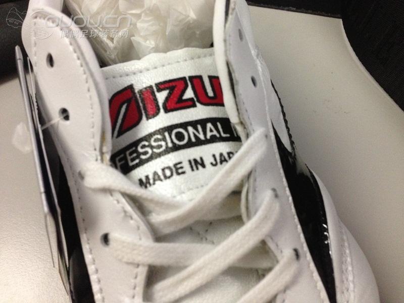 漂洋过海的Morelia 2 TM……