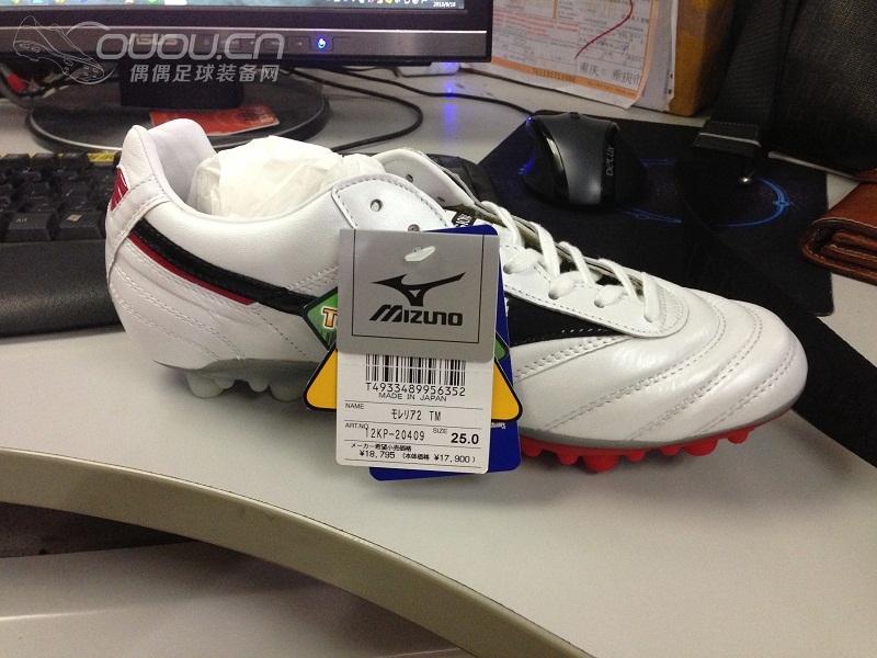 漂洋过海的Morelia 2 TM……