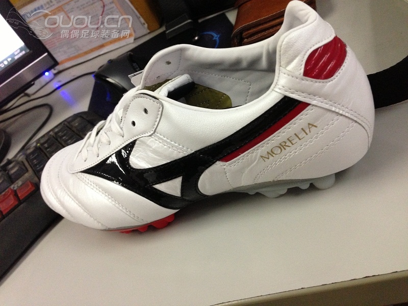 漂洋过海的Morelia 2 TM……