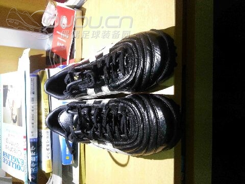 求换刺客jp 255顶级或者次顶ag