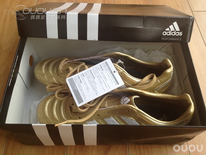 最近很火的金释迦