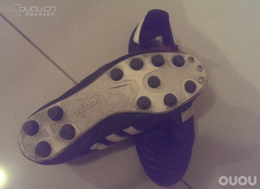 COPA FG下地一周年,简单说几句