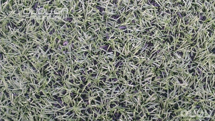 lz又来了,今天重新给场地拍了照,那双f50只热身穿了