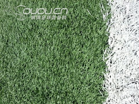 大家觉得这个场地怎么样,同济大学的,能不能上adi