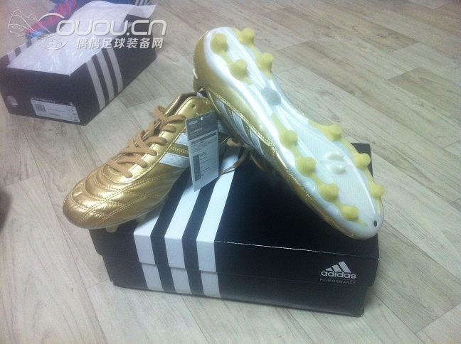 金释迦今天也拿到手了,金蓝黑白顶级释迦控TOP~