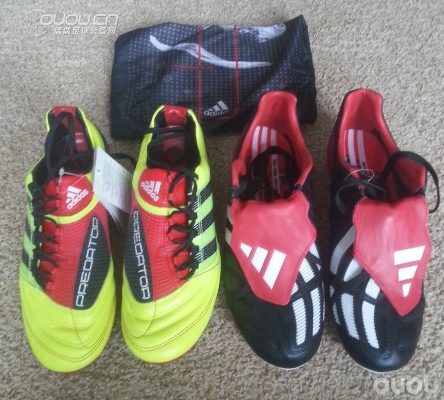 一觉醒来!两只猎鹰驾到,圆梦了!