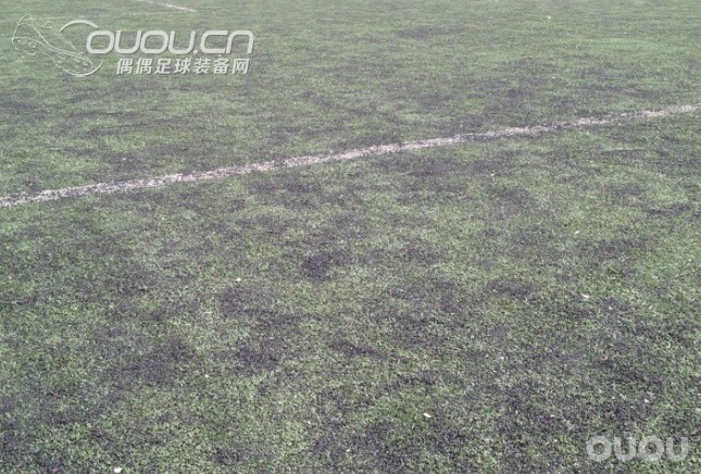 copa mundial能上这种草吗?