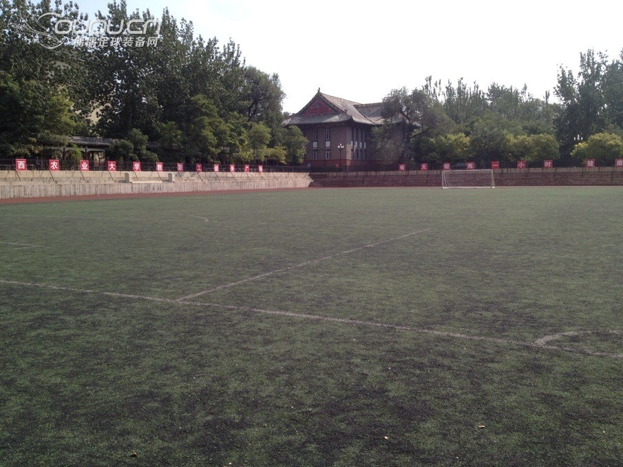 copa mundial能上这种草吗?