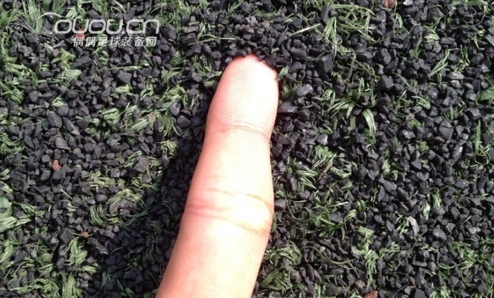 copa mundial能上这种草吗?