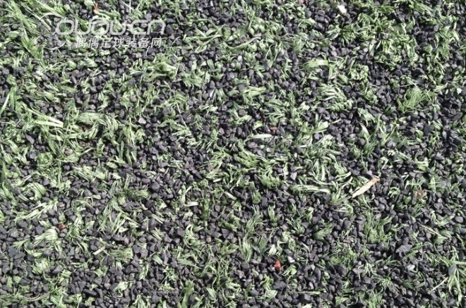 copa mundial能上这种草吗?