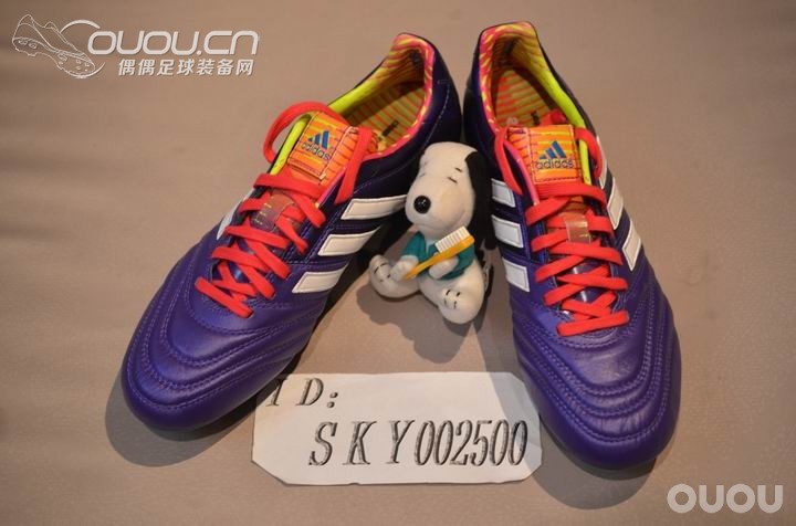 蜕变&进化—浅谈释迦pathiqe 11pro