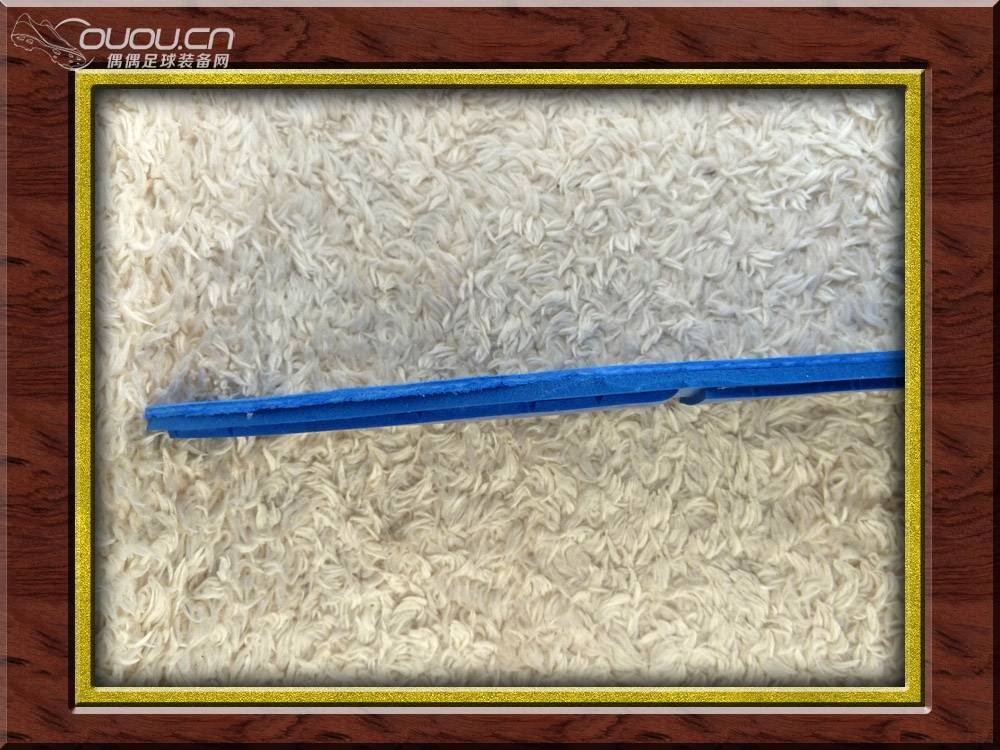 全K变色龙灵鹰(indoor)—多一点属于自己的