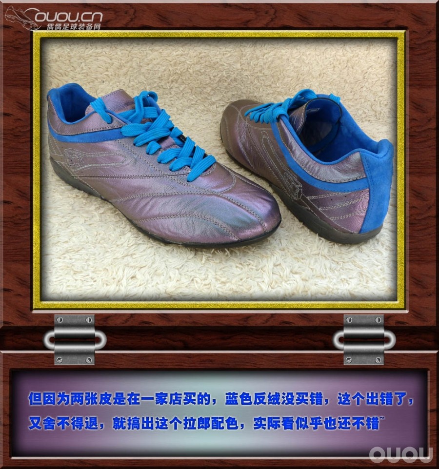 全K变色龙灵鹰(indoor)—多一点属于自己的